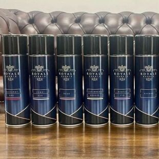 royale scents car air freshener aerosol spray sanitizer